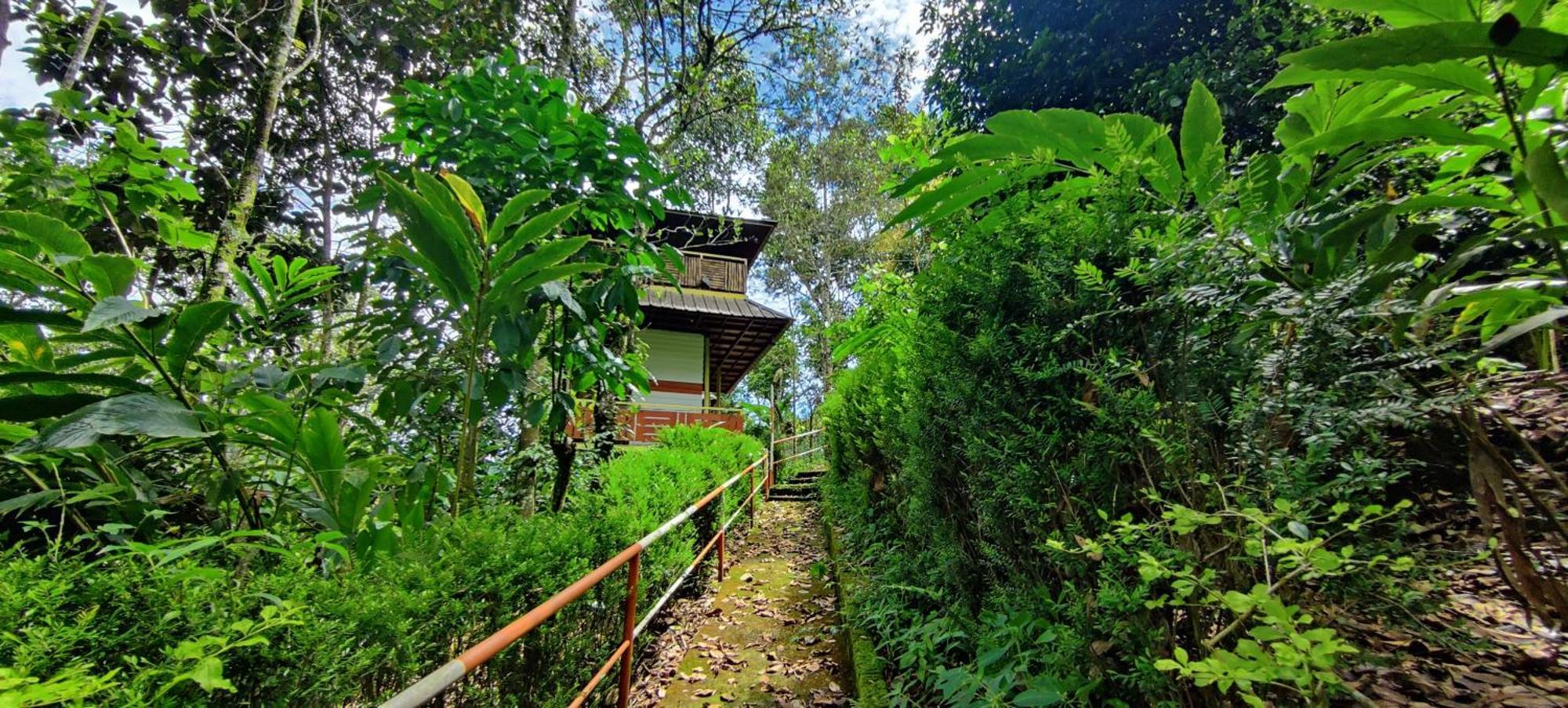 فندق Chalona Hill View مونار المظهر الخارجي الصورة